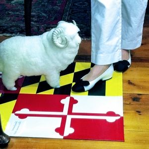 Meet your Posher, Mary